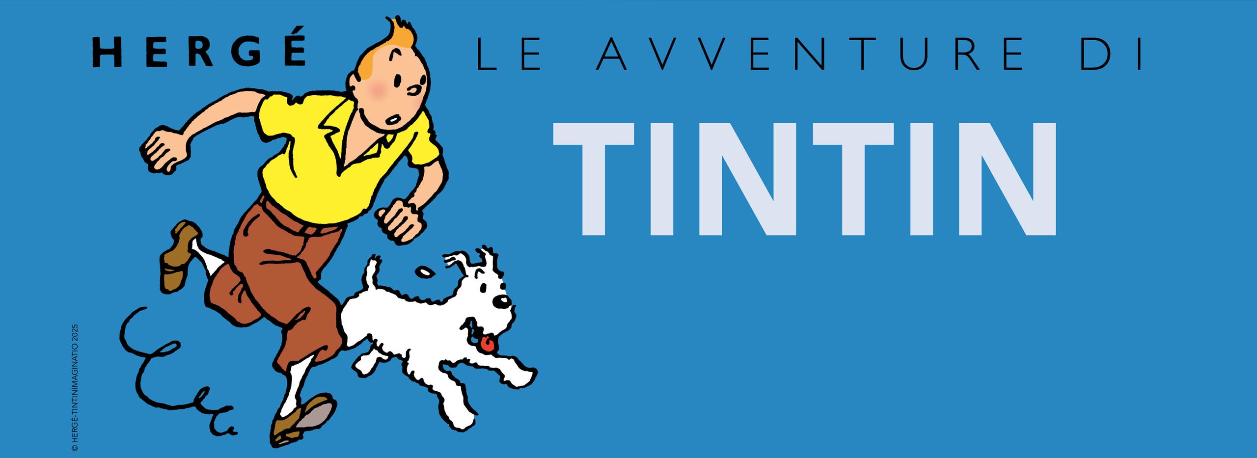 Le avventure di Tintin